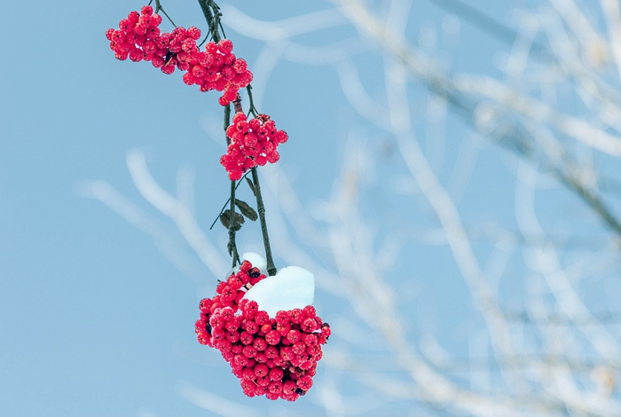 【萊沃醫(yī)療：知識(shí)分享】今日小雪，快“藏”好這份健康秘籍！